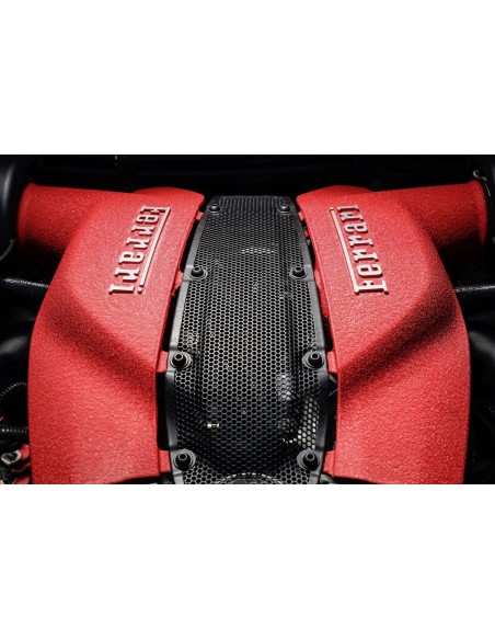 XL Ferrari Red High-Temperature Wrinkle Paint for Engine - 500g