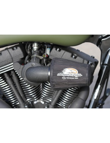 Wrinkle Paint Black Harley Davidson...