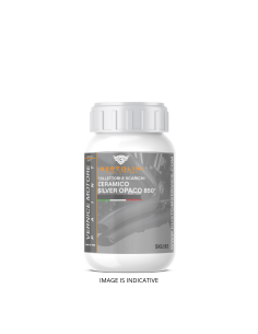 High Temperature Gray Silver Ceramic Paint 650° - 250g