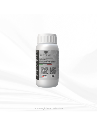 High Temperature Gray Silver Ceramic Paint 650° - 250g